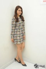 Raashi Khanna at Joru Movie Audio Success Meet